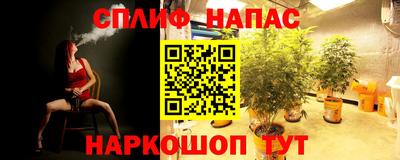 гидропоника Анжеро-Судженск